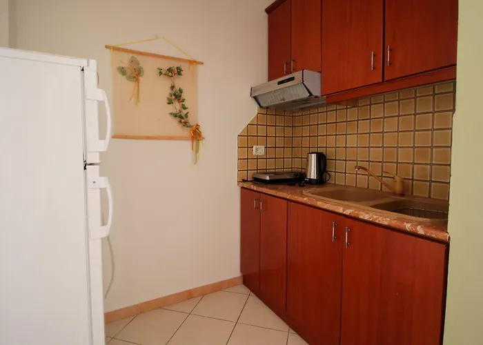 招待所 Elena Sarandë